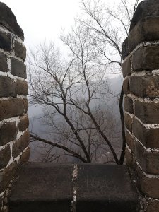 1912124_10202560751093165_1439624639_n