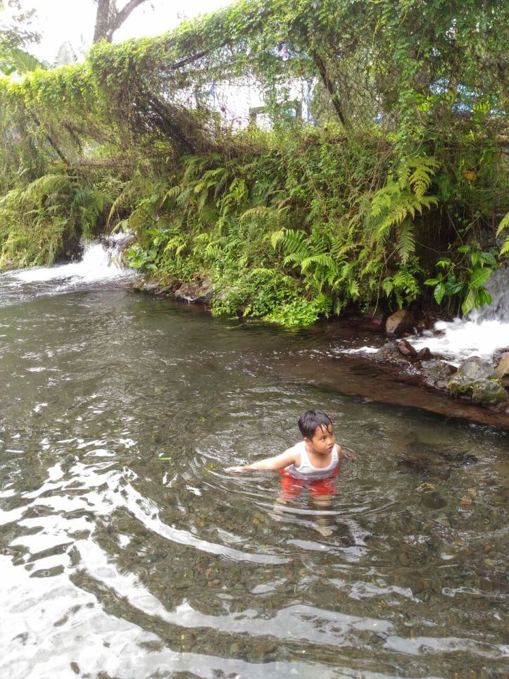 whatsapp-image-2017-01-05-at-20-18-51