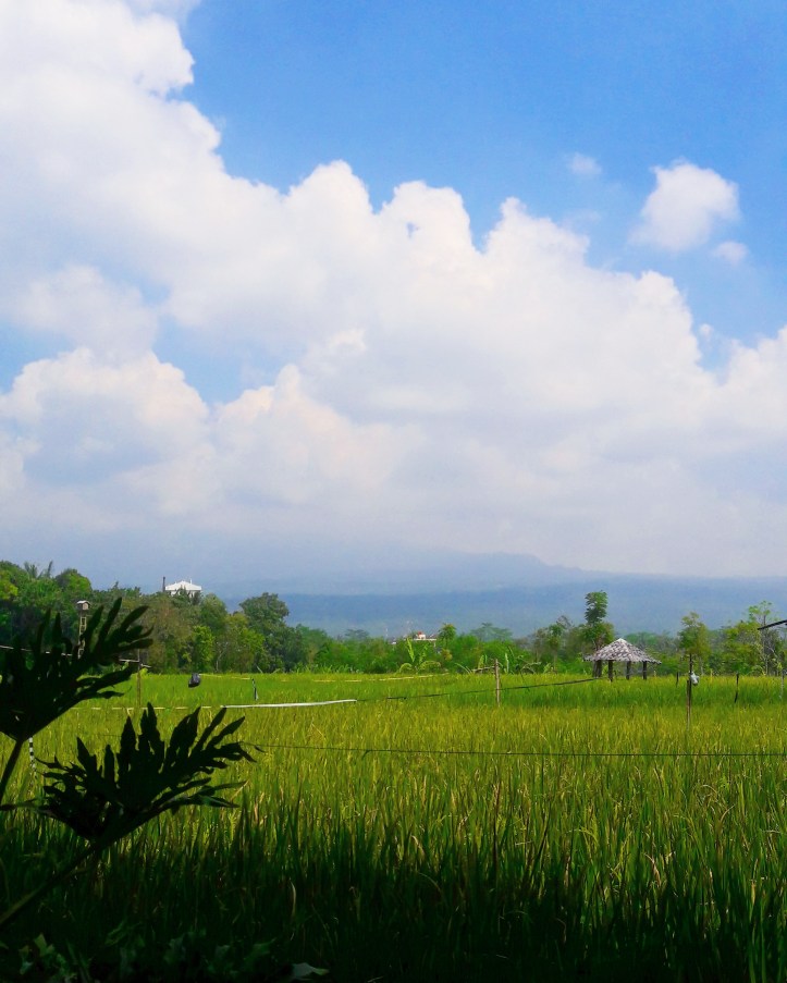 IMG_20170716_134758_018