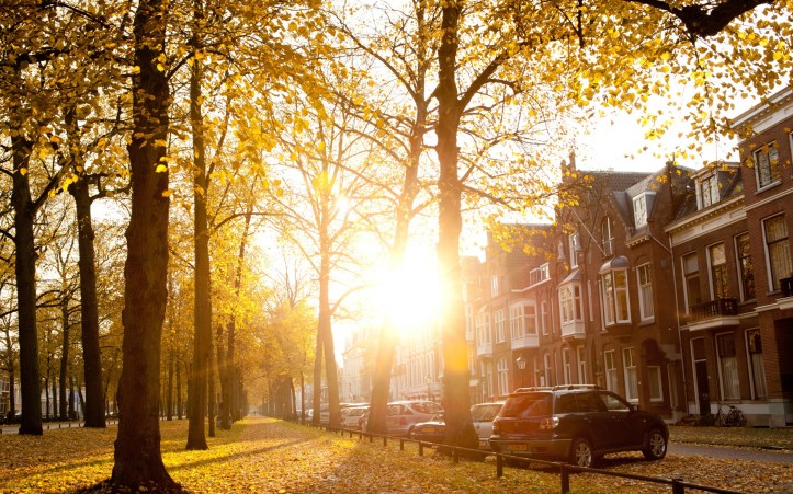 world_netherlands_autumn_day_in_utrecht_036729_ (1)